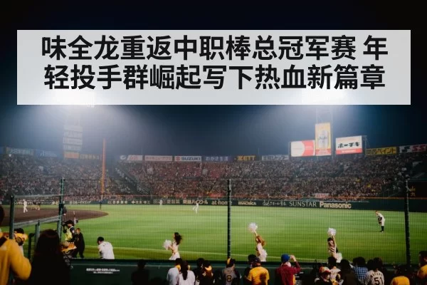baseball stadium night crowd